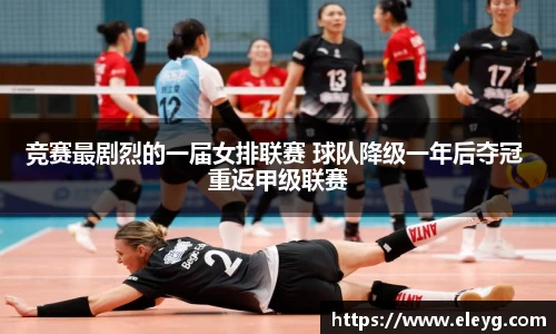 MMK体育